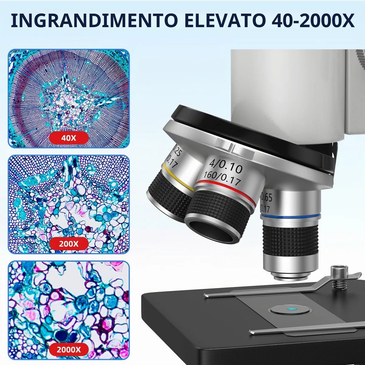 Microscopio per Bambini Adulti Principianti: Microscopio Biologico Composto 40-2000X con Kit Diapositive e Custodia per lo Stoccaggio - per Esplorare la Scienza e l'Educazione