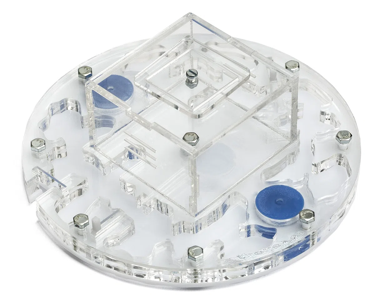 AntHouse Formicaio Acrilico Kit Educativo Circolare Medium 15x15x1,3 cm con Coperchio