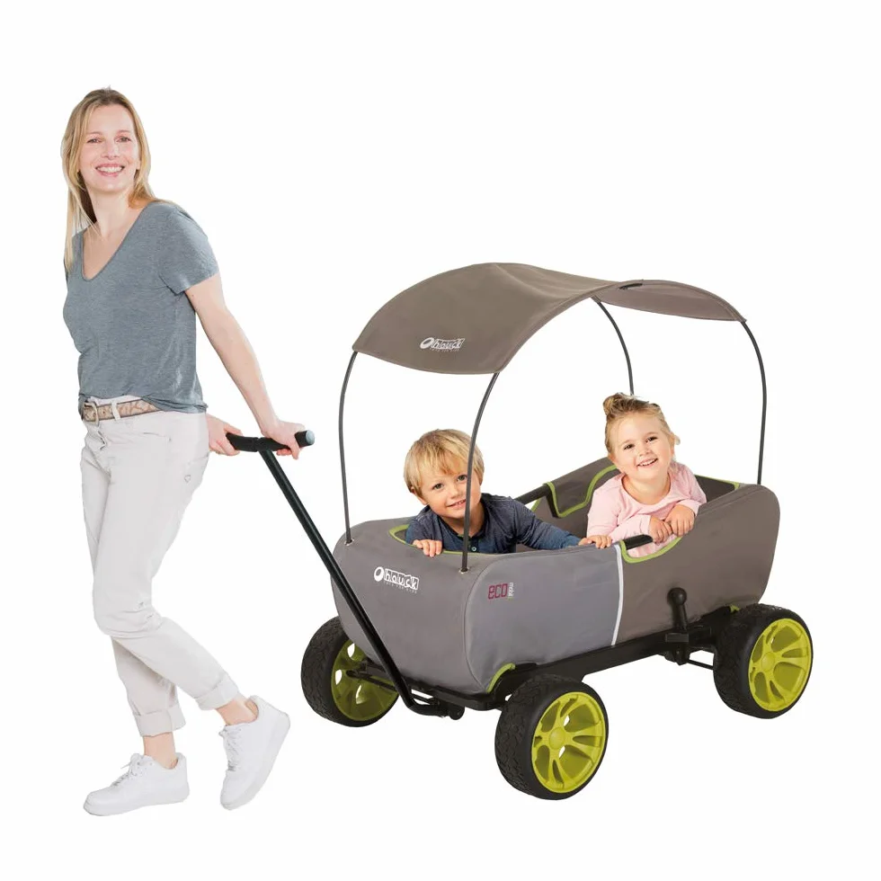 hauck Eco Mobil, Forest - Carrello da Trasporto per 2 Bambini fino a 50 kg - con Tettuccio Parasole e Cuscino di Seduta - Grandi Ruote EVA, Freno e Timone Rimovibile - Richiudibile e Portatile