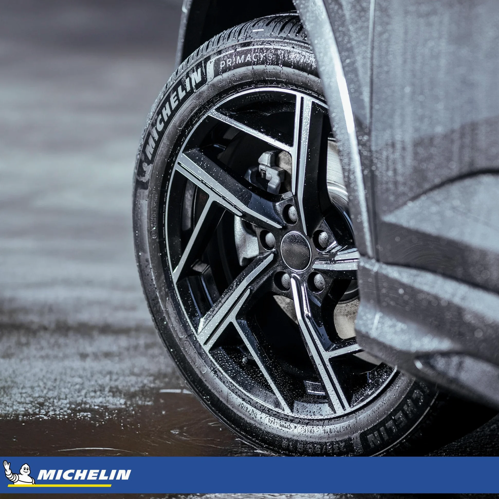 Pneumatico Estate Michelin PRIMACY 5 205/55R16 91V