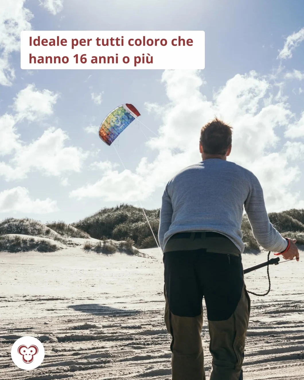Skymonkey Windtrainer Aquilone da trazione 4 Cavi Ready 2 Fly 230 cm 330 cm Verde Petrolio