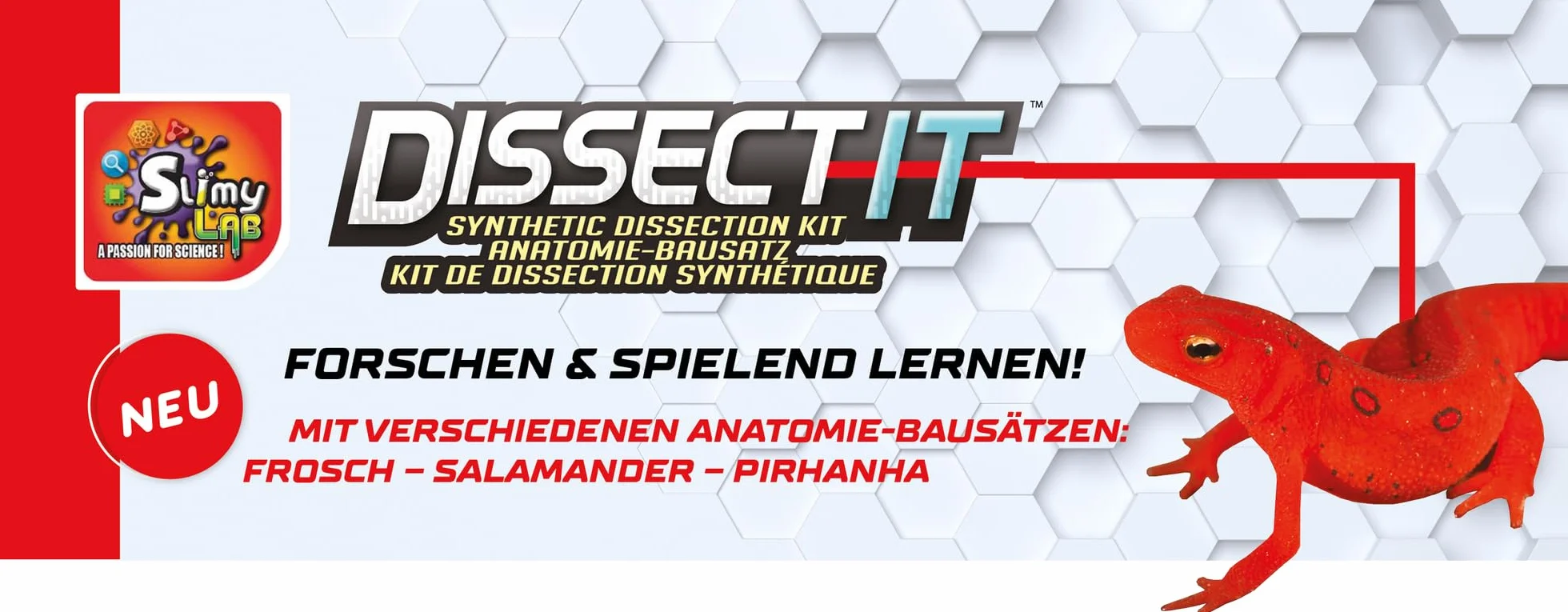 SLIMY Lab Dissect-IT - Kit di sperimentazione e scoperta - Laboratorio di melma, giocattolo di apprendimento STEM/menta premiato - Kit di plastilina con plastilina e strumento di dissezione -