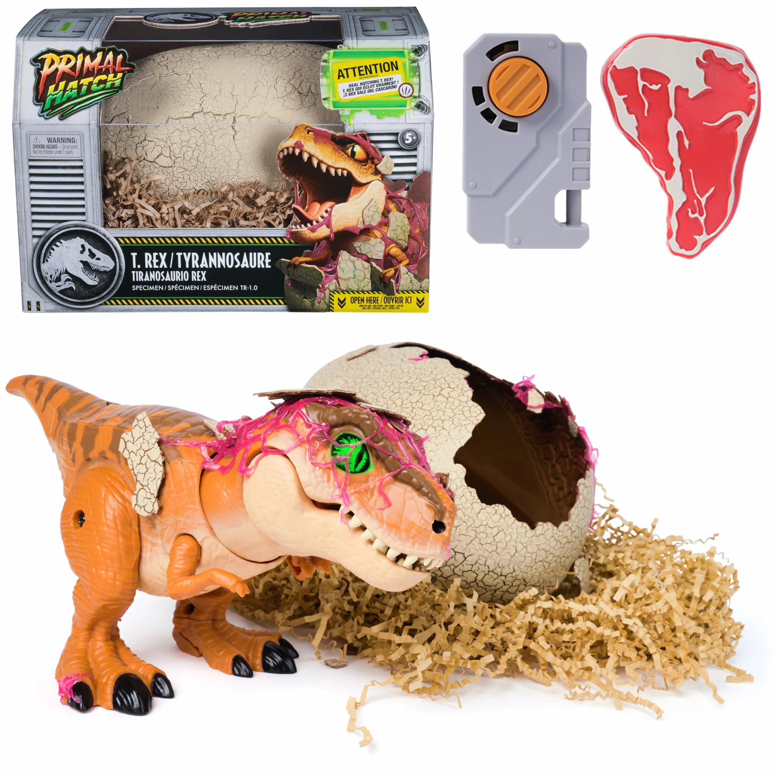 Primal Hatch Jurassic World, Dinosauro Interattivo con Uovo, Fai Schiudere e Addestra il Tuo Cucciolo di Dinosauro con Oltre 100 Suoni e Reazioni, Giocattolo per Bambini e Bambine, 5+ Anni