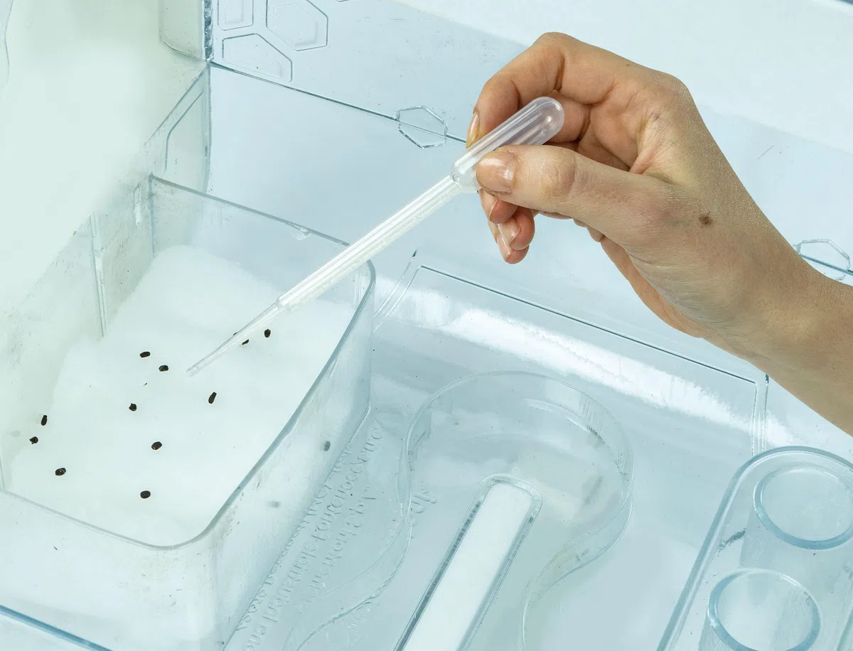 Clementoni Scienza e Gioco Lab - La Mia Serra Hi-tech, Laboratorio di Botanica Bambini 8+ Anni, 3 Modalità di Coltivazione Piante, con Led e Schermo LCD, Made in Italy, Lingua Italiana, 19370