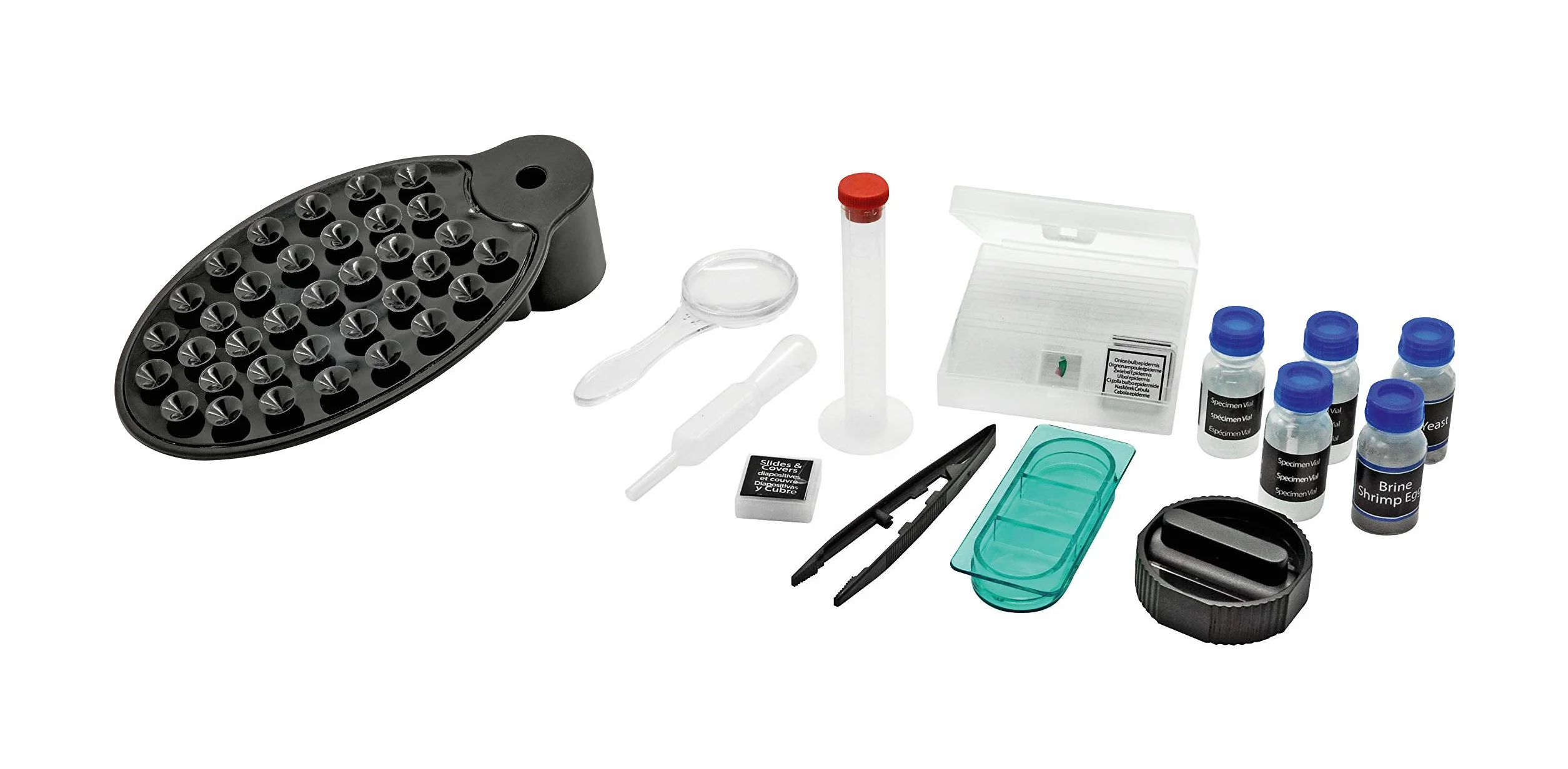 Bresser Junior - Set microscopio e telescopio con microscopio 40x 640x e telescopio 40/400 mm, per bambini a partire da 8 anni