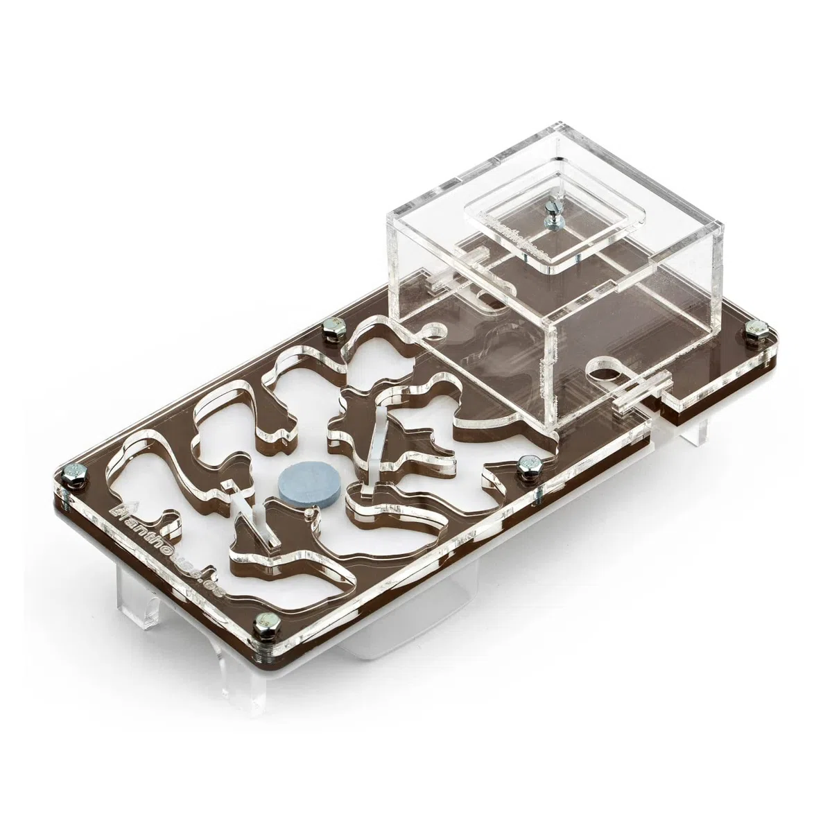 AntHouse Formicaio acrilico Kit educativo funghi 10x20x1,3 cm Marrone