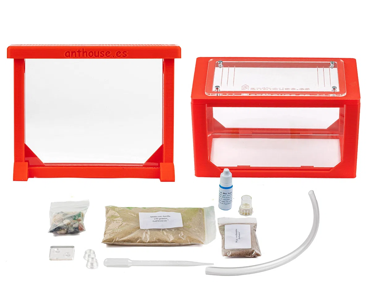 AntHouse Formicaio Naturale di Sabbia Kit Mini 3D Azzurro Sandwich Cassa di Foraggiamento Formiche Incluse Regina