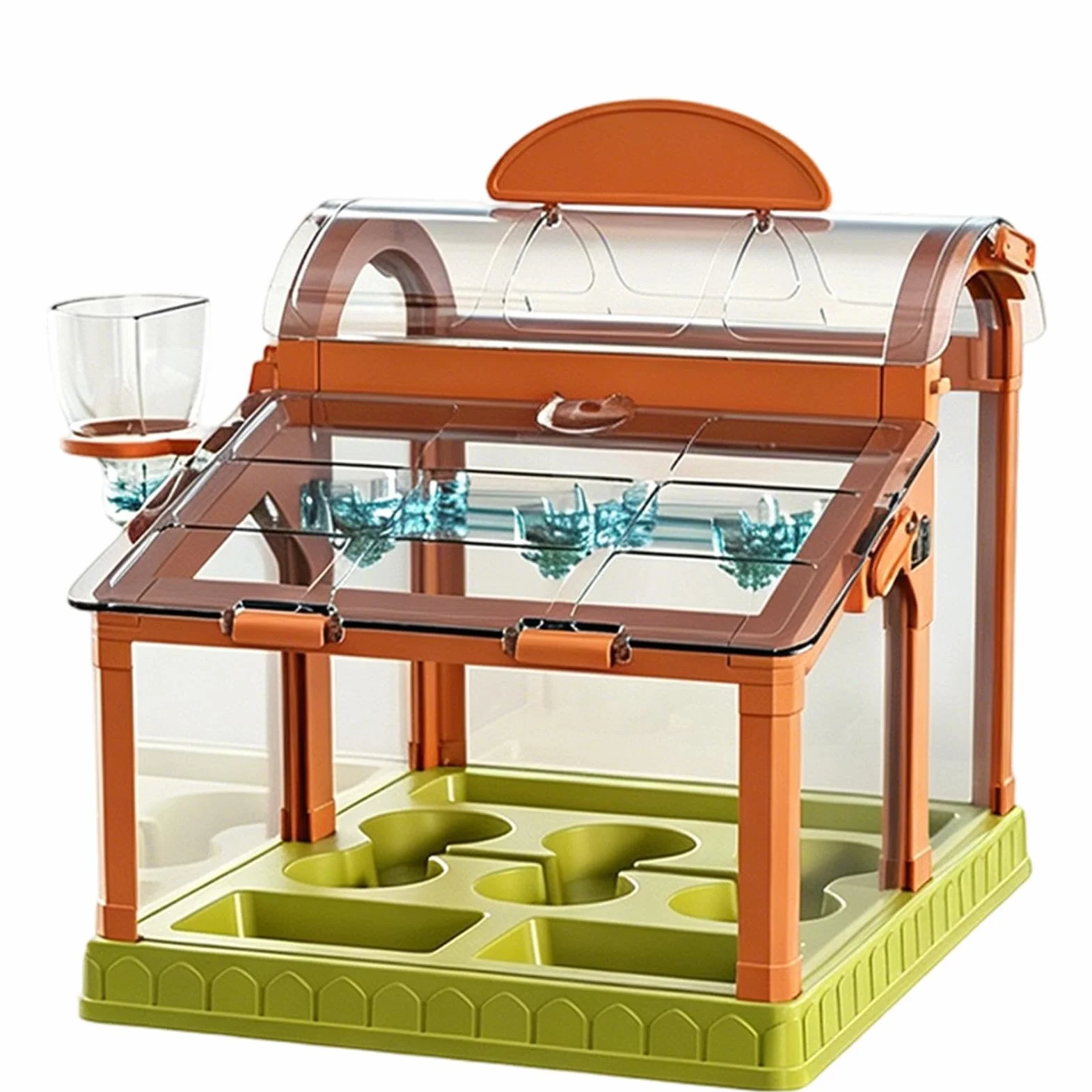 Kit per la coltivazione di piante per bambini - Set di giocattoli da giardinaggio per scienze educative, kit di esperimenti per la crescita delle piante STEM per bambini, ragazzi e ragazze | Kits scie