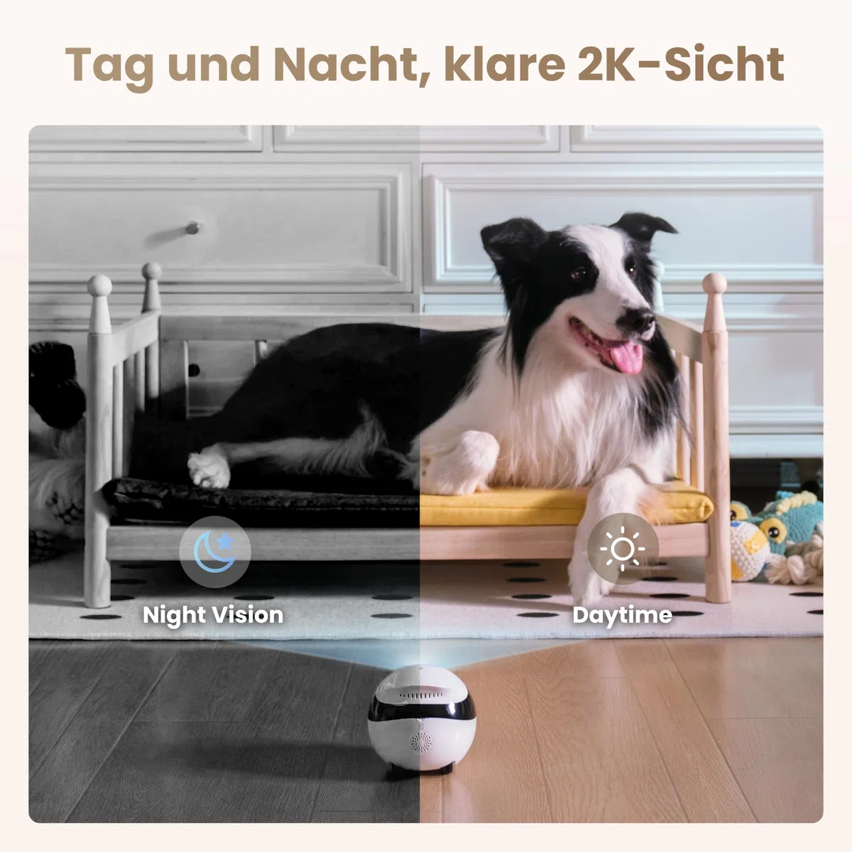 Enabot EBO Air 2 FamilyBot-Intelligenter 2K Telecamera di sorveglianza Robot con autoscarica, robot Patrol per la sorveglianza domestica, telecamera wireless per cani e gatti con visione notturna