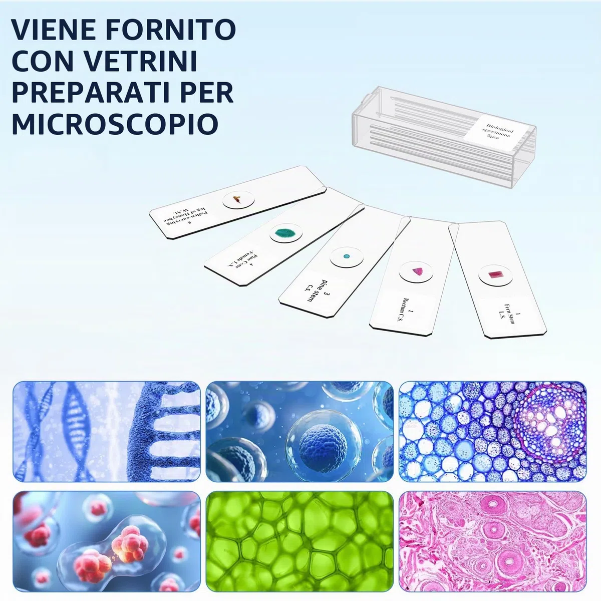 Microscopio per Bambini Adulti Principianti: Microscopio Biologico Composto 40-2000X con Kit Diapositive e Custodia per lo Stoccaggio - per Esplorare la Scienza e l'Educazione