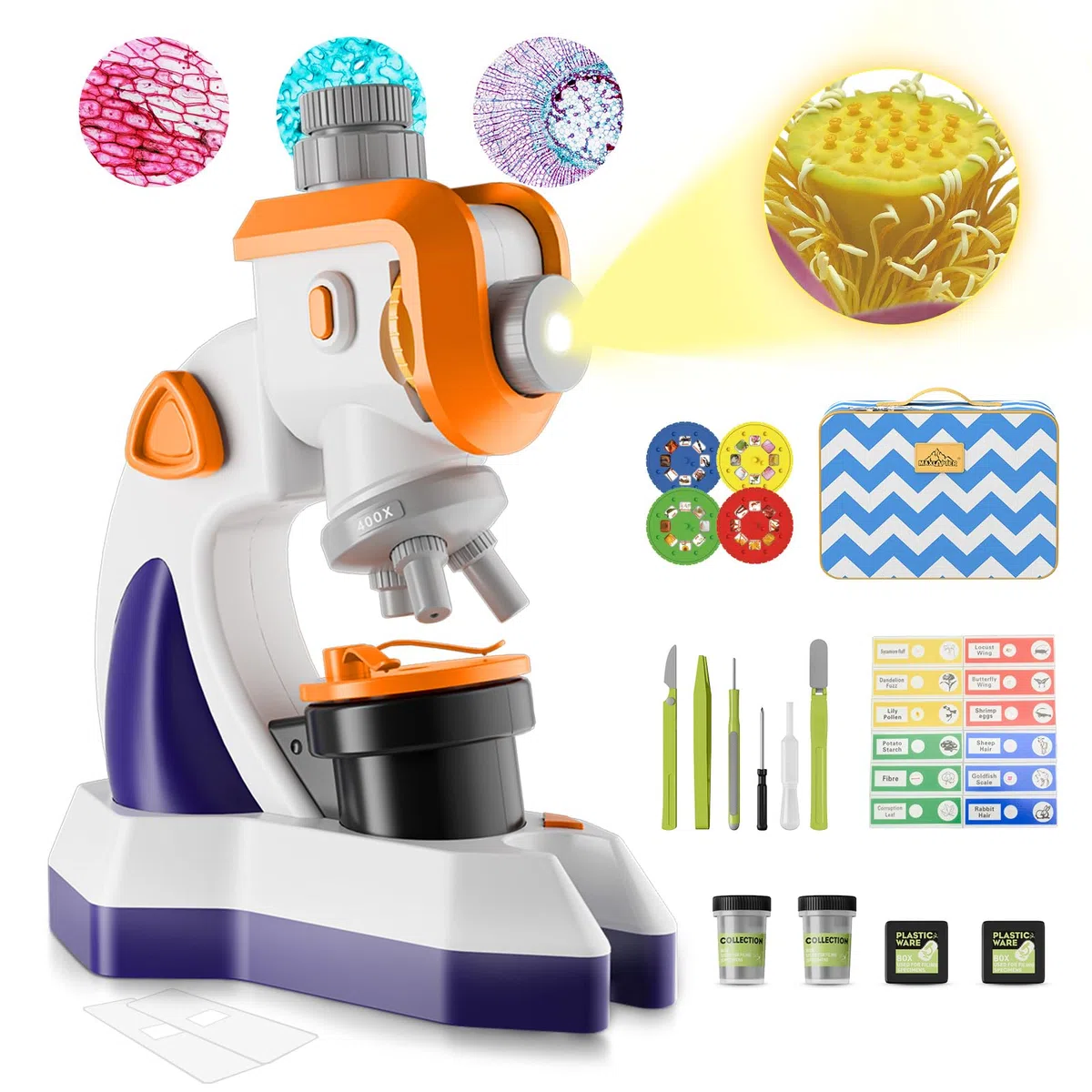MAXLAPTER Microscopio per Bambini 1200X con Proiettore: Microscopio con Vetrini Preparati e Borsa per la Conservazione - Regali di Scienza Edu per Bambini Principianti di 8-12 Anni (Arancione-Viola)
