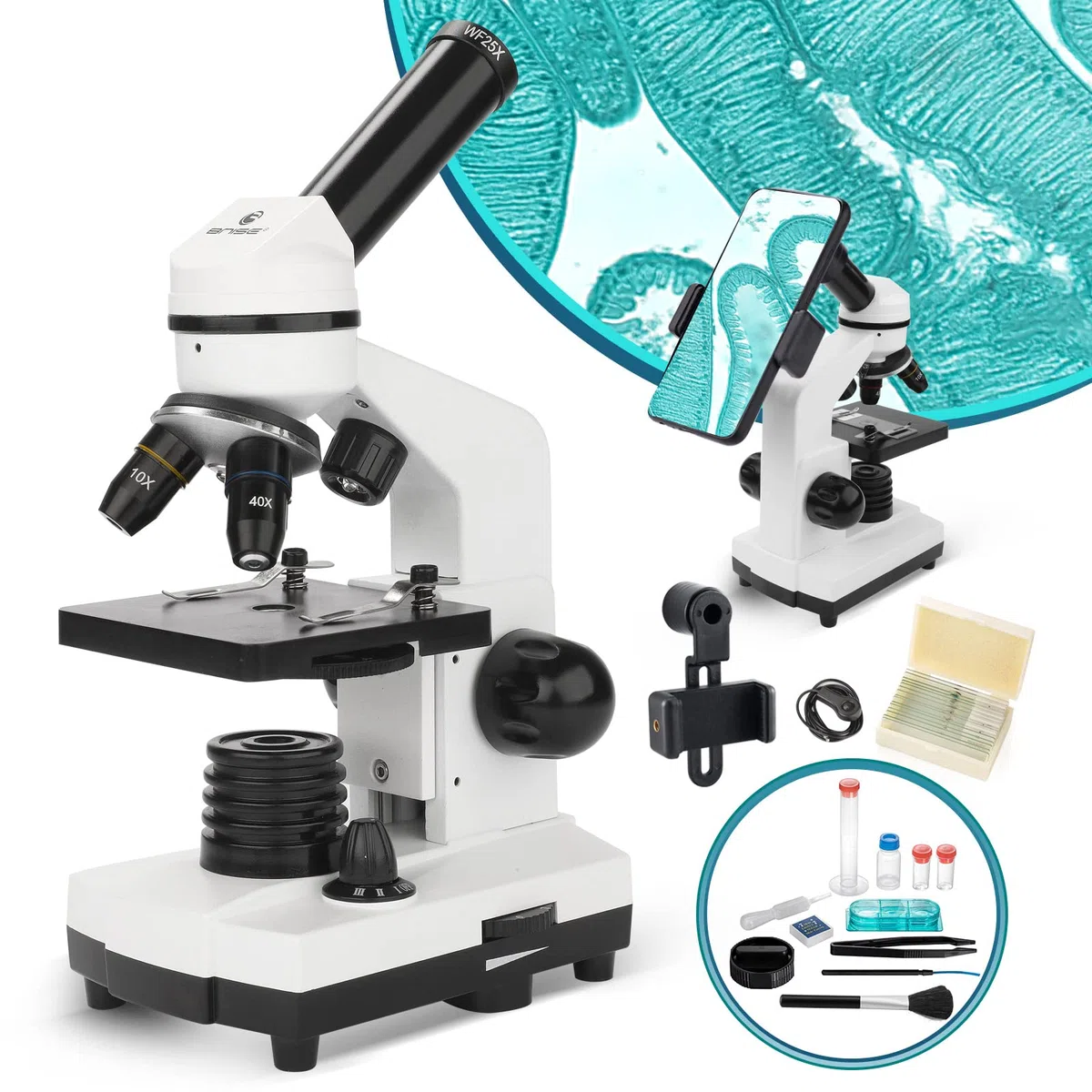 Microscopio per Bambini Studenti Ragazzi 100X-1000x, con vetrini preparati, adattatore per telefono, per Scuola Laboratorio Home biologico scientifico Enducation