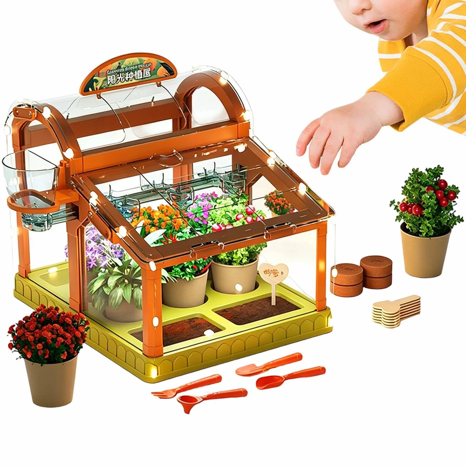 Kit per la coltivazione di piante per bambini - Set di giocattoli da giardinaggio per scienze educative, kit di esperimenti per la crescita delle piante STEM per bambini, ragazzi e ragazze | Kits scie