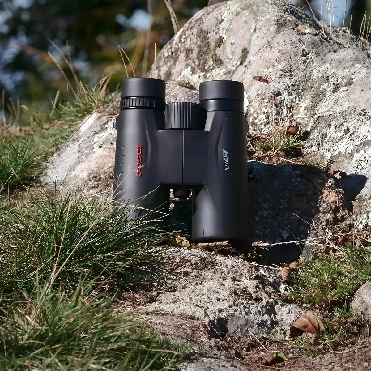 Tasco - 10x42 - Essentials - Prisma de Techo - Prismáticos - Multicapa - ES10X42