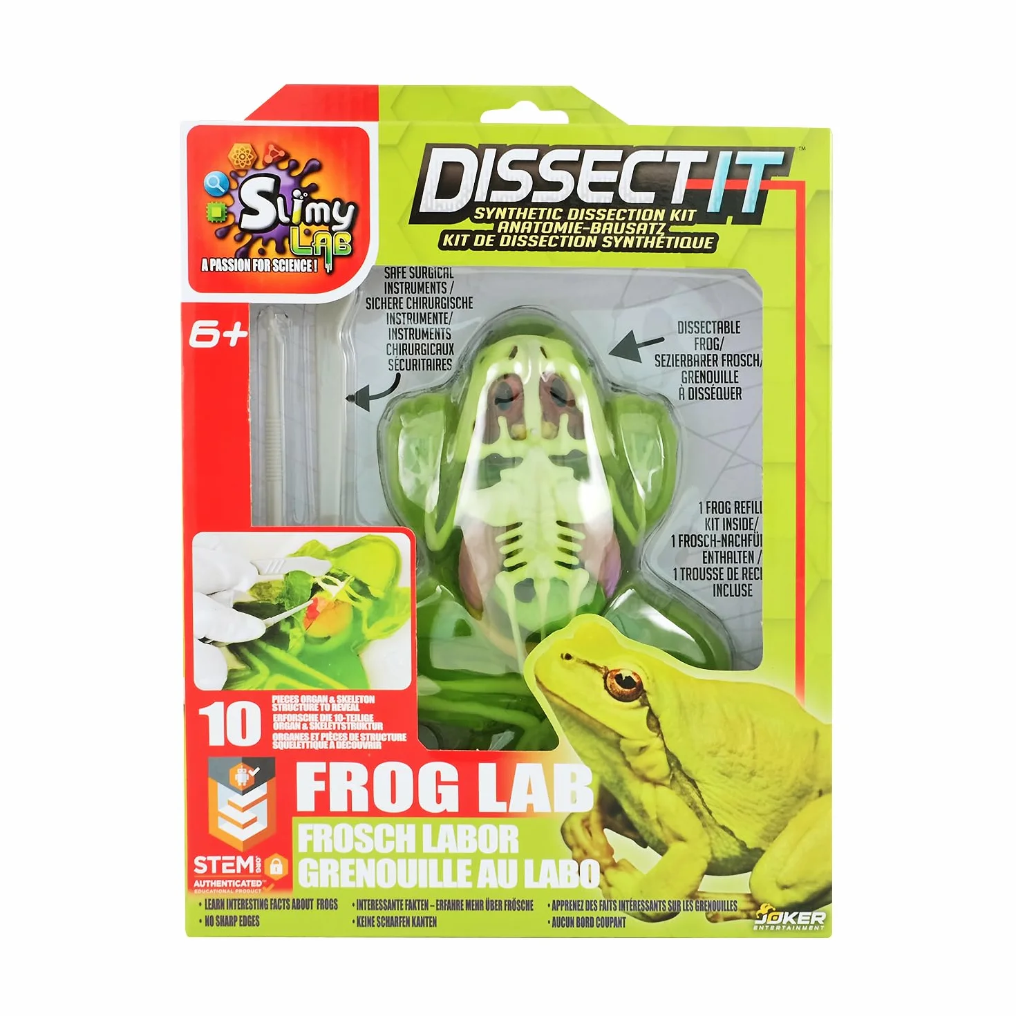 SLIMY Lab Dissect-IT - Kit di sperimentazione e scoperta - Laboratorio di melma, giocattolo di apprendimento STEM/menta premiato - Kit di plastilina con plastilina e strumento di dissezione -