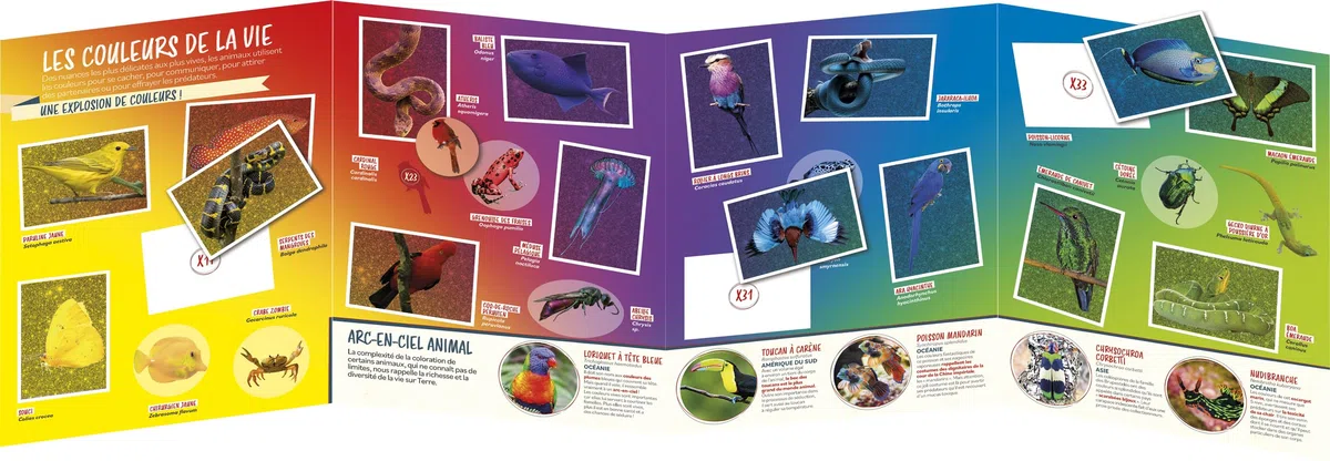 Panini Animaux - Album per attività ricreative, 50 tasche