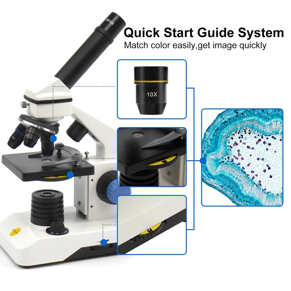 SWIFT Microscopio SS121 100X-2000X per bambini Studenti adulti, con adattatore per telefono, set di diapositive per microscopio