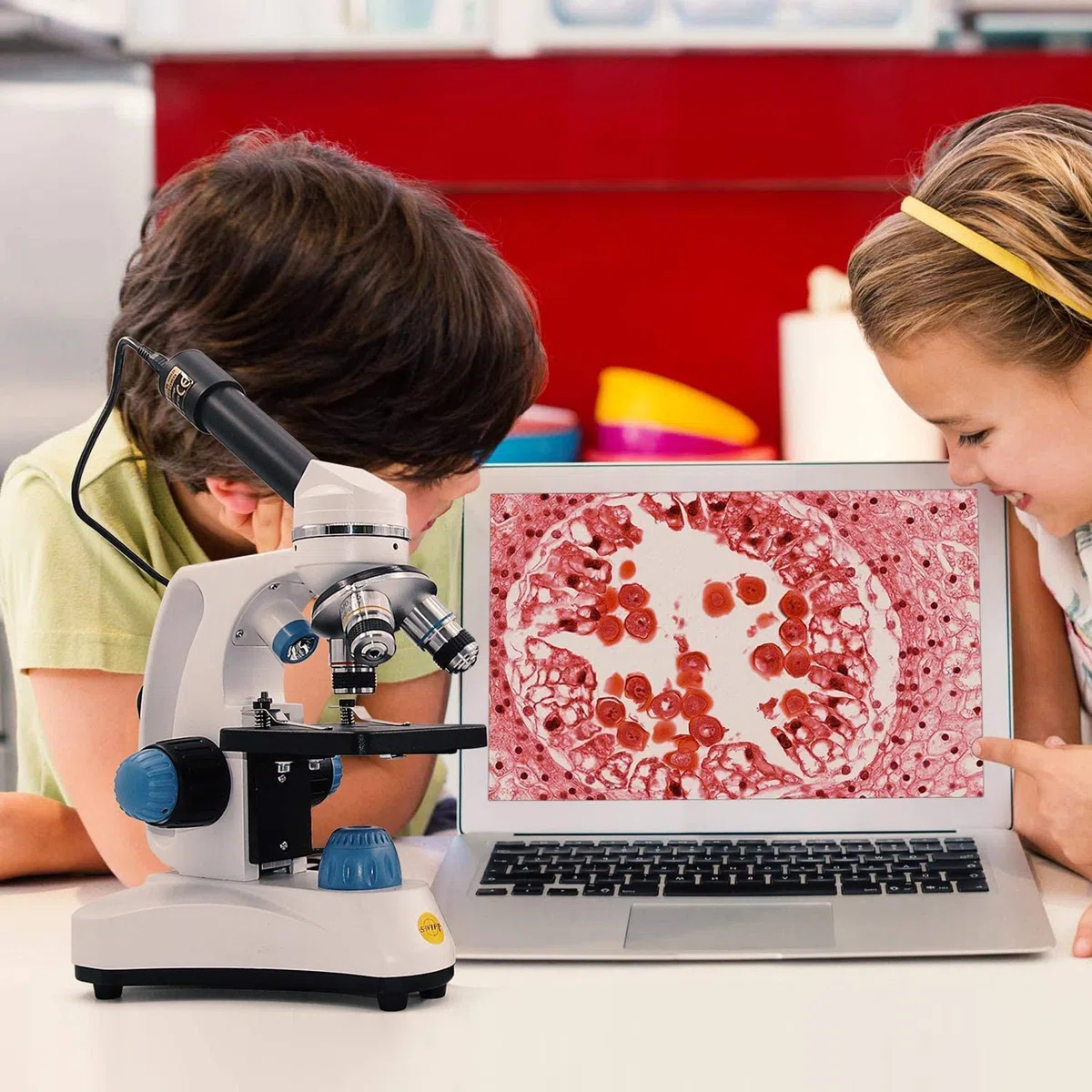 SWIFT Microscopio monoculare composto SW150 con ingrandimento 40X-1000X, ottica in vetro, oculare extra 25X, messa a fuoco grossolana e fine, doppia illuminazione e capacità senza fili