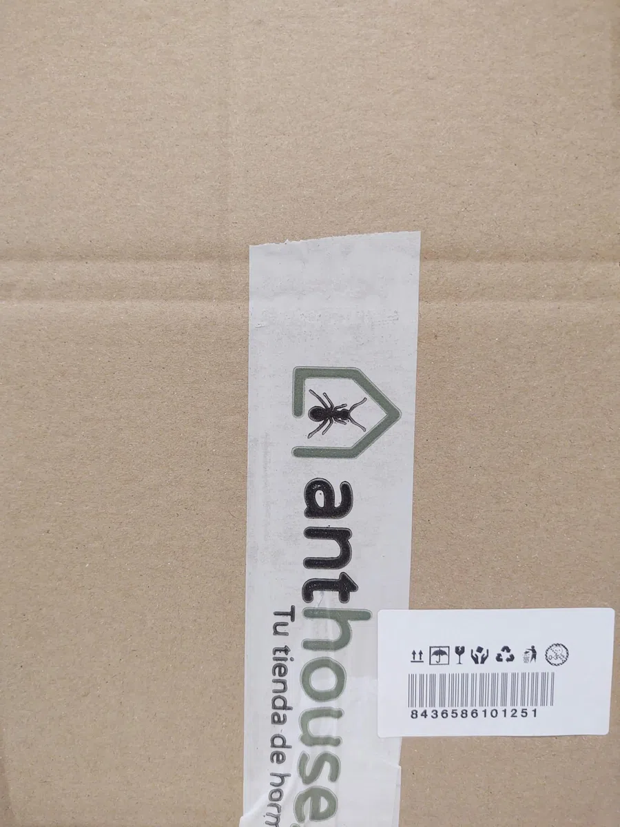 AntHouse Formicaio acrilico Kit educativo funghi 10x20x1,3 cm Marrone