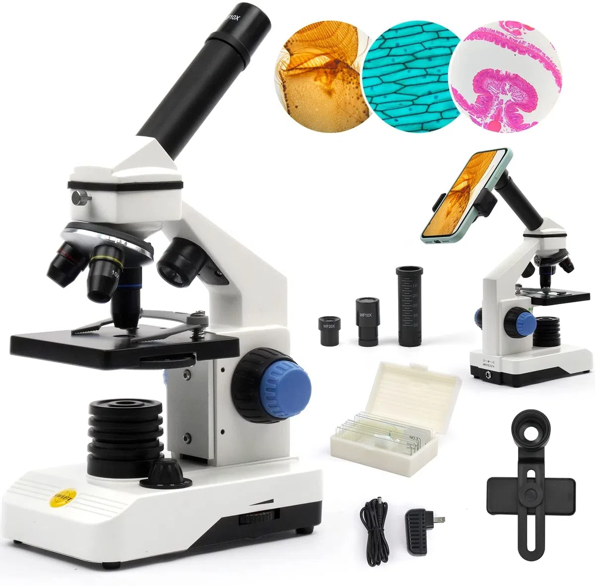 SWIFT Microscopio SS121 100X-2000X per bambini Studenti adulti, con adattatore per telefono, set di diapositive per microscopio
