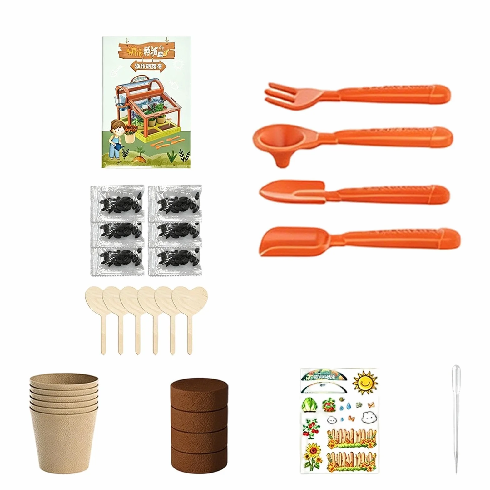 Kit per la coltivazione di piante per bambini - Set di giocattoli da giardinaggio per scienze educative, kit di esperimenti per la crescita delle piante STEM per bambini, ragazzi e ragazze | Kits scie