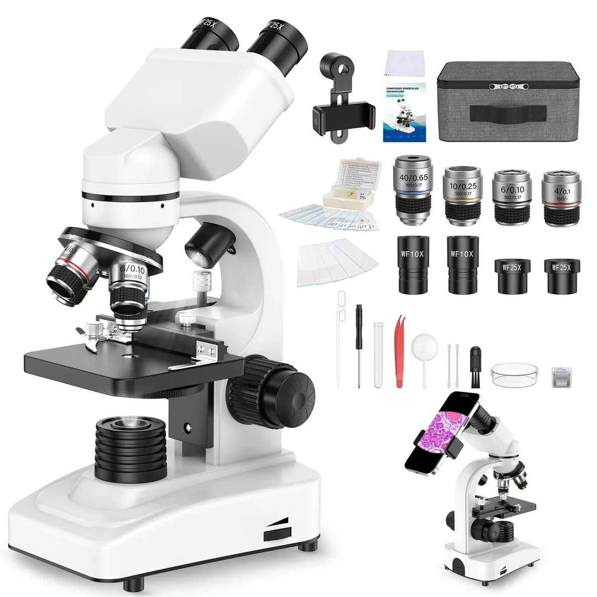 Microscopio binoculare, 40X-1000X, righello spostato, 4 lenti, messa a fuoco grossolana e fine, con oculari WF 10X/25X, accessori, valigetta per il trasporto
