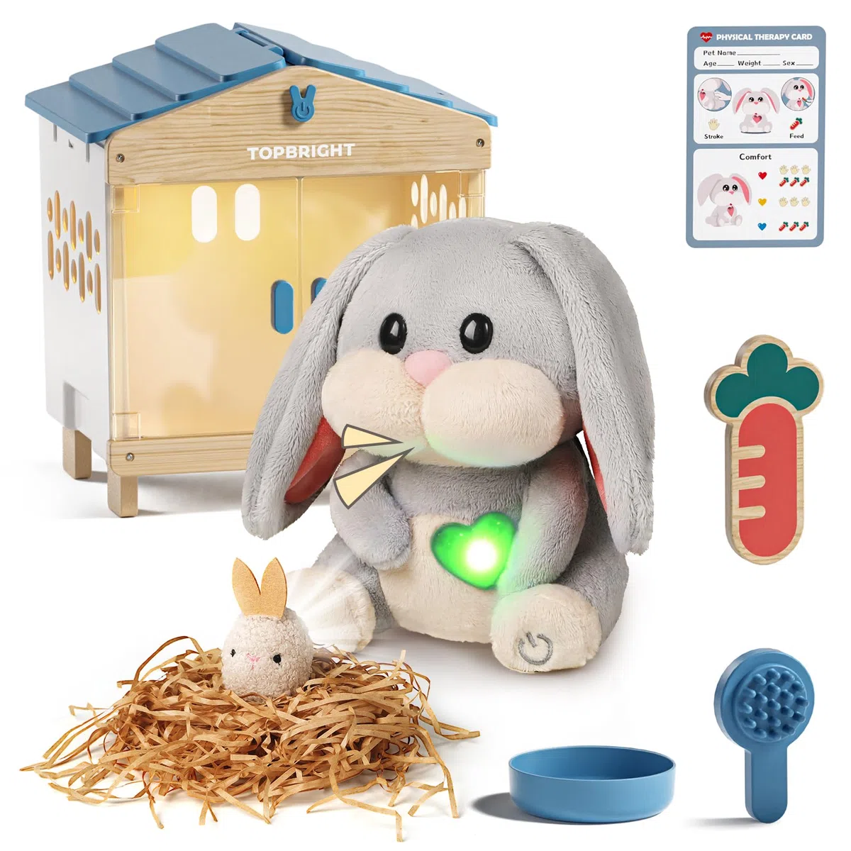TOP BRIGHT Rabbit Electronic Toy