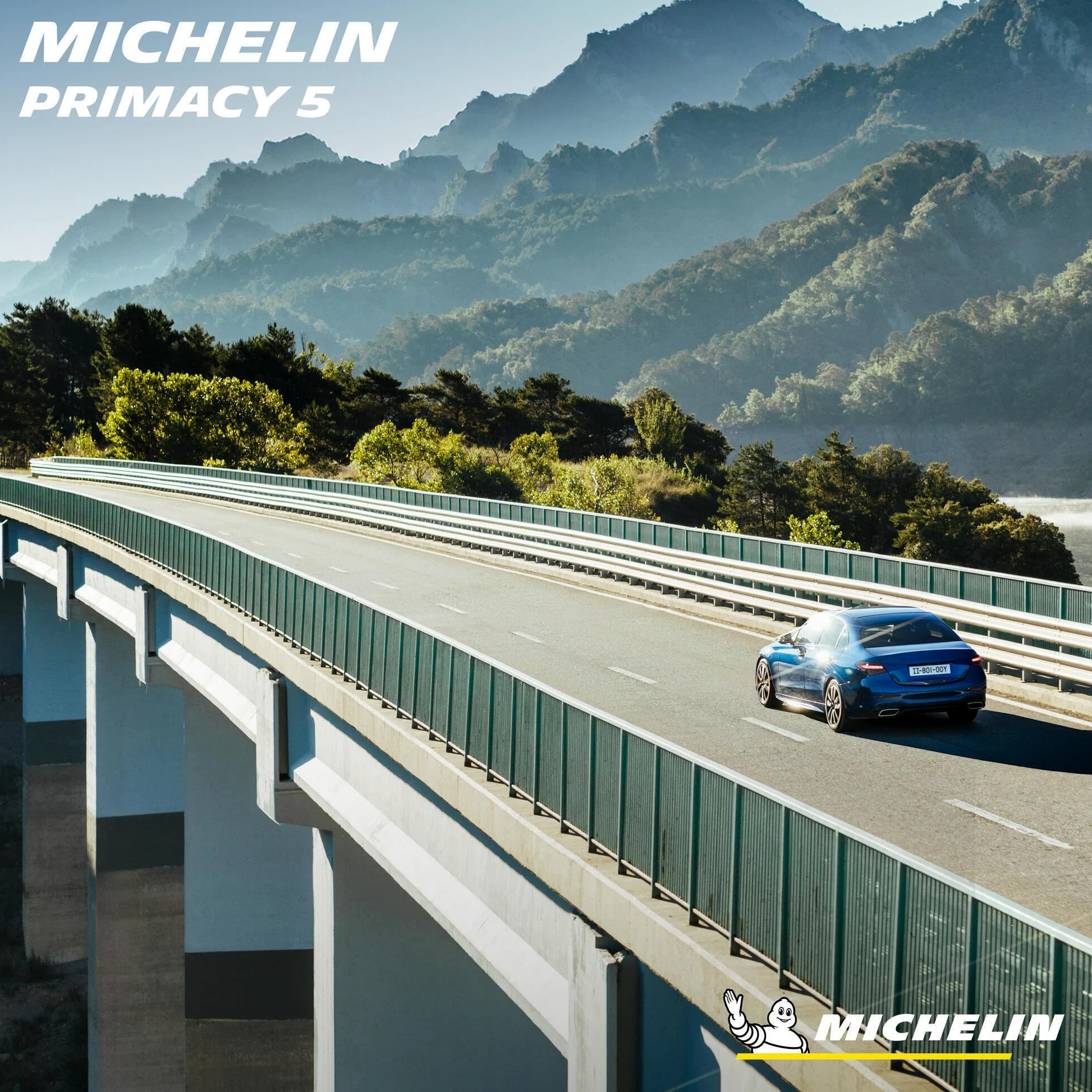 Pneumatico Estate Michelin PRIMACY 5 205/55R16 91V