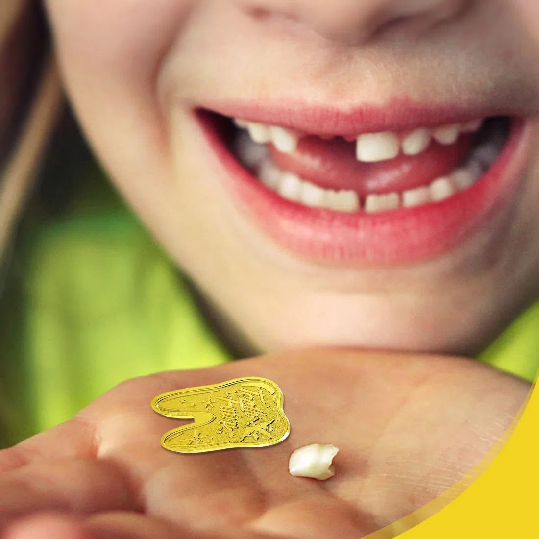 Monete Fata dei Denti d'Oro, Regalo Fatina dei Denti, Set Fata dei Dentini, Moneta Commemorativa
