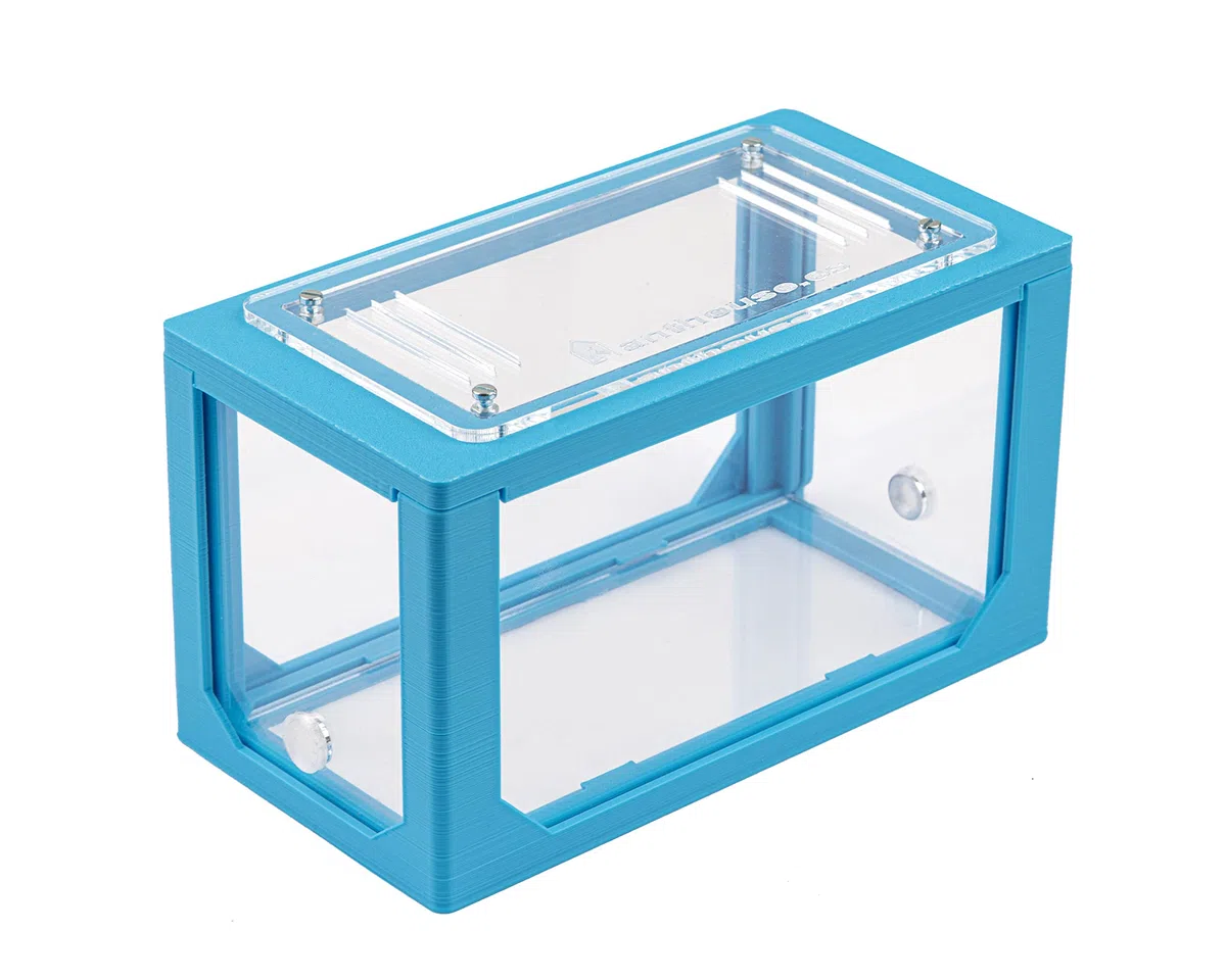 AntHouse Formicaio Naturale di Sabbia Kit Mini 3D Azzurro Sandwich Cassa di Foraggiamento Formiche Incluse Regina