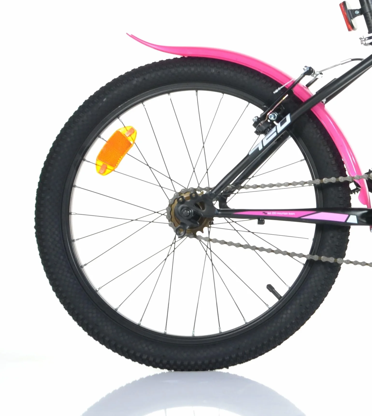 Dino Bikes Bicicletta Bambina 20 pollici nero e rosa