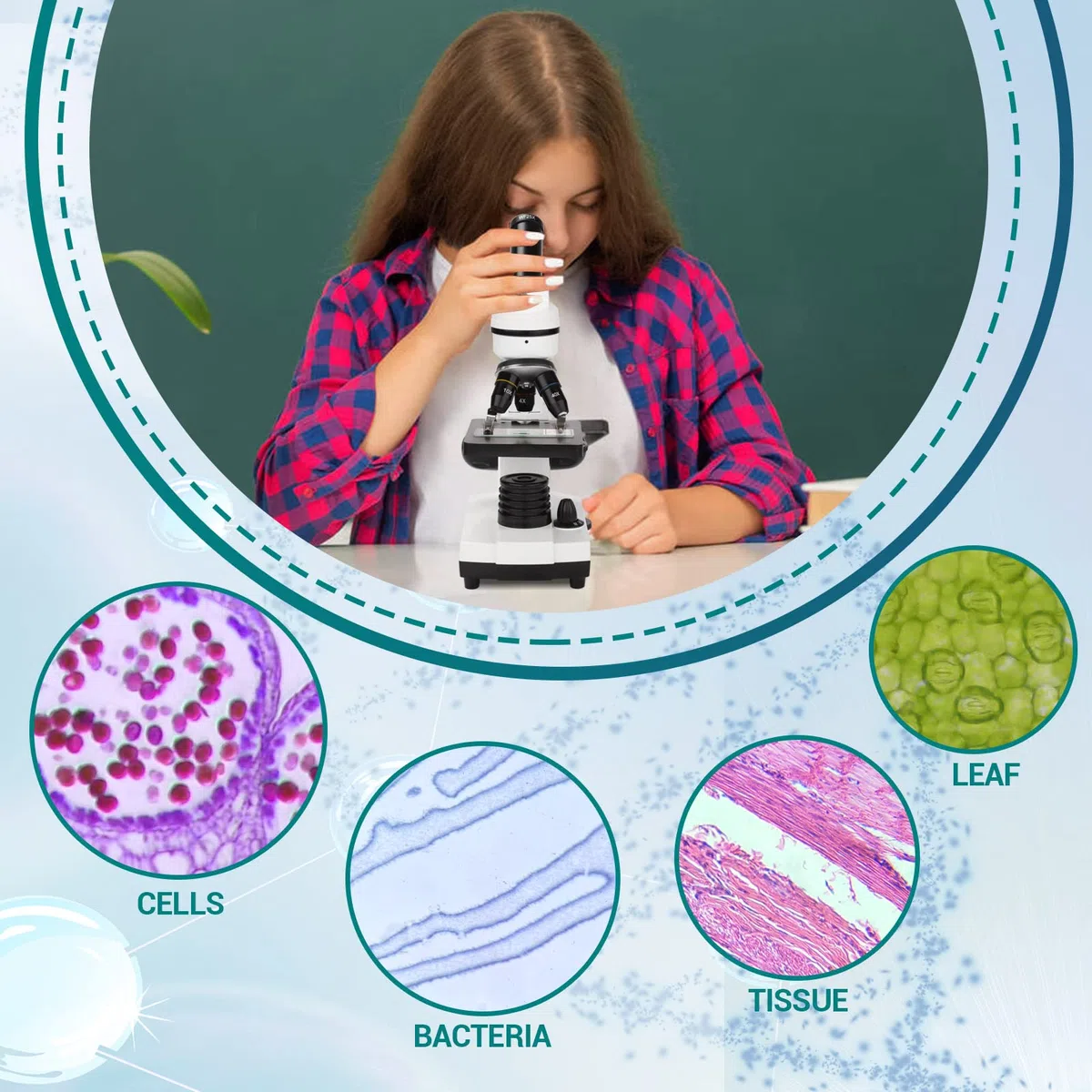 Microscopio per Bambini Studenti Ragazzi 100X-1000x, con vetrini preparati, adattatore per telefono, per Scuola Laboratorio Home biologico scientifico Enducation