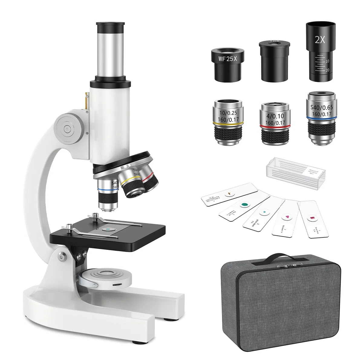Microscopio per Bambini Adulti Principianti: Microscopio Biologico Composto 40-2000X con Kit Diapositive e Custodia per lo Stoccaggio - per Esplorare la Scienza e l'Educazione