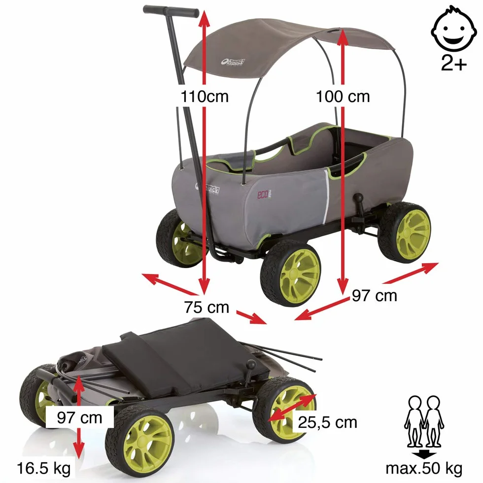 hauck Eco Mobil, Forest - Carrello da Trasporto per 2 Bambini fino a 50 kg - con Tettuccio Parasole e Cuscino di Seduta - Grandi Ruote EVA, Freno e Timone Rimovibile - Richiudibile e Portatile
