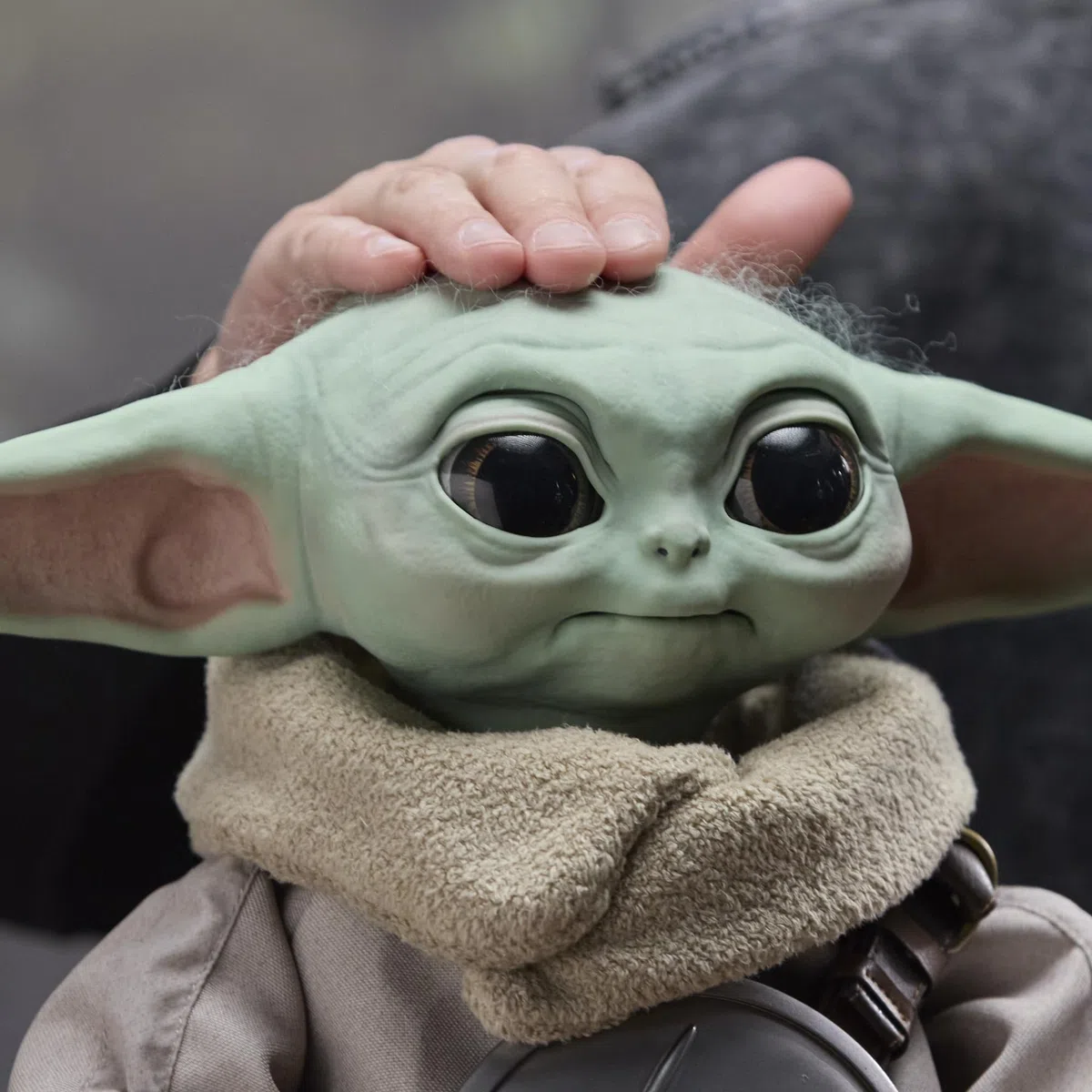 Star Wars Ultimate Grogu, animatronico Premium in Scala 1:1, Replica a grandezza Naturale in Edizione Limitata dai 14 Anni in su, Confezione in Edizione Speciale