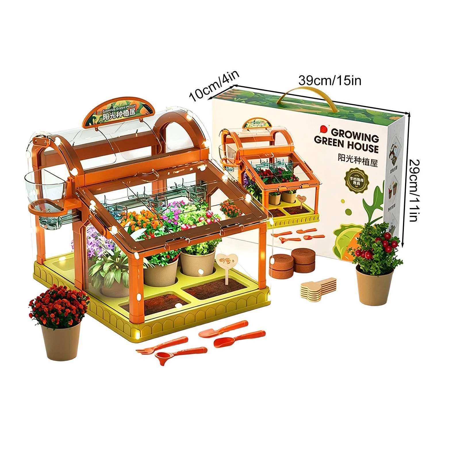 Kit per la coltivazione di piante per bambini - Set di giocattoli da giardinaggio per scienze educative, kit di esperimenti per la crescita delle piante STEM per bambini, ragazzi e ragazze | Kits scie
