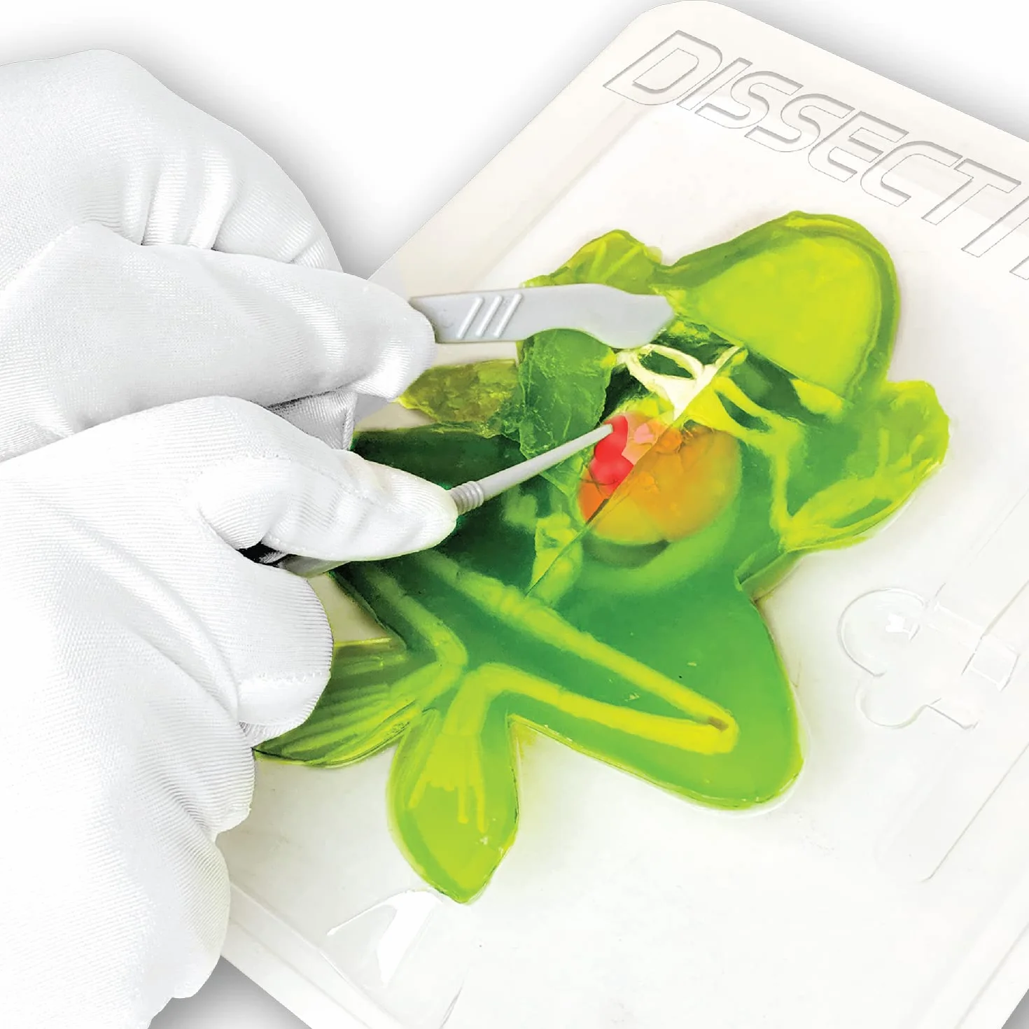SLIMY Lab Dissect-IT - Kit di sperimentazione e scoperta - Laboratorio di melma, giocattolo di apprendimento STEM/menta premiato - Kit di plastilina con plastilina e strumento di dissezione -