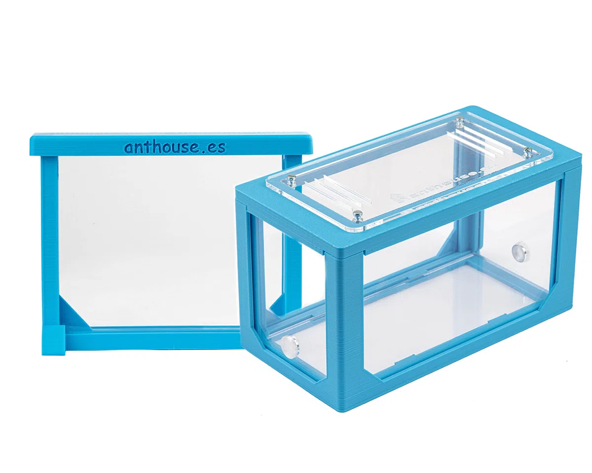 AntHouse Formicaio Naturale di Sabbia Kit Mini 3D Azzurro Sandwich Cassa di Foraggiamento Formiche Incluse Regina