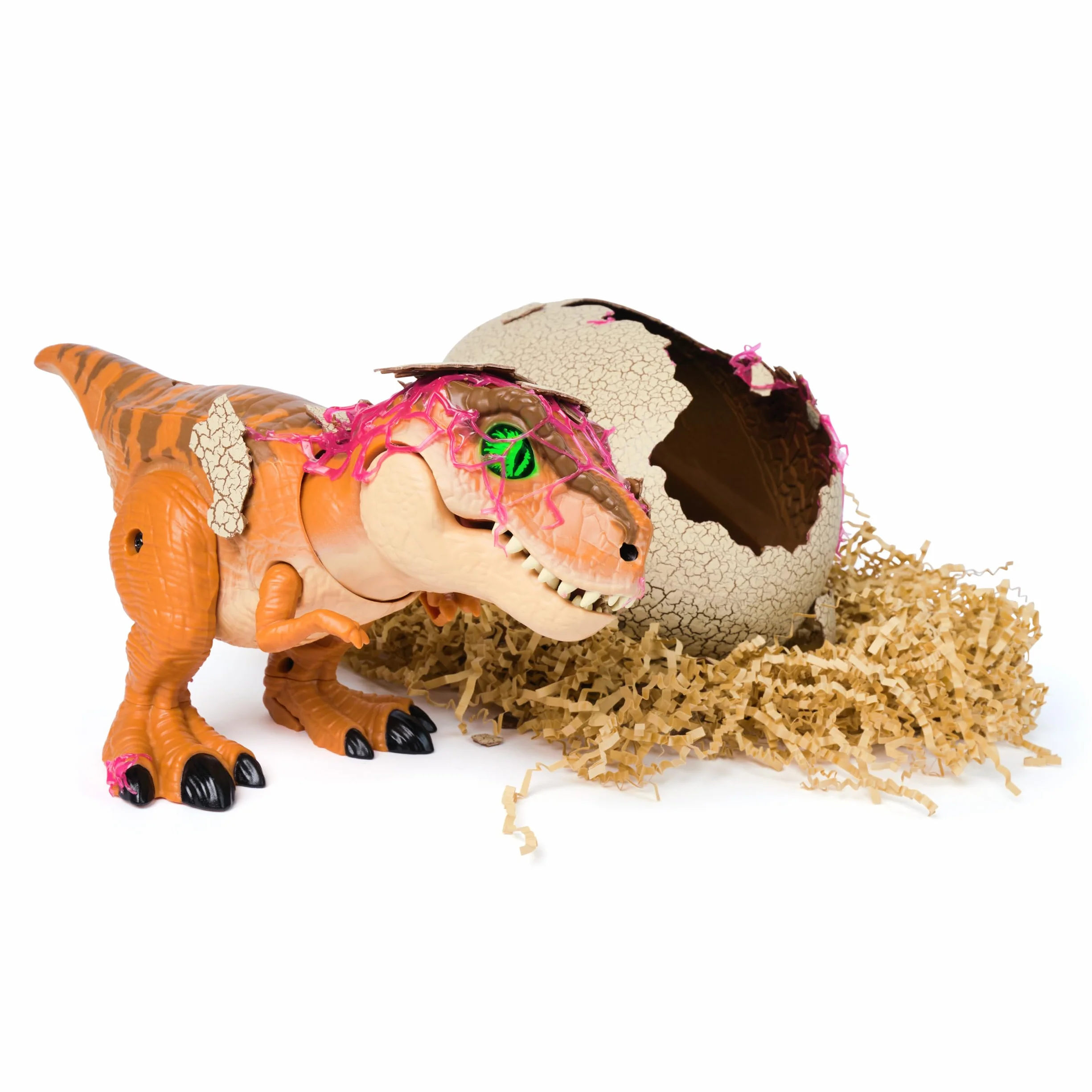 Primal Hatch Jurassic World, Dinosauro Interattivo con Uovo, Fai Schiudere e Addestra il Tuo Cucciolo di Dinosauro con Oltre 100 Suoni e Reazioni, Giocattolo per Bambini e Bambine, 5+ Anni